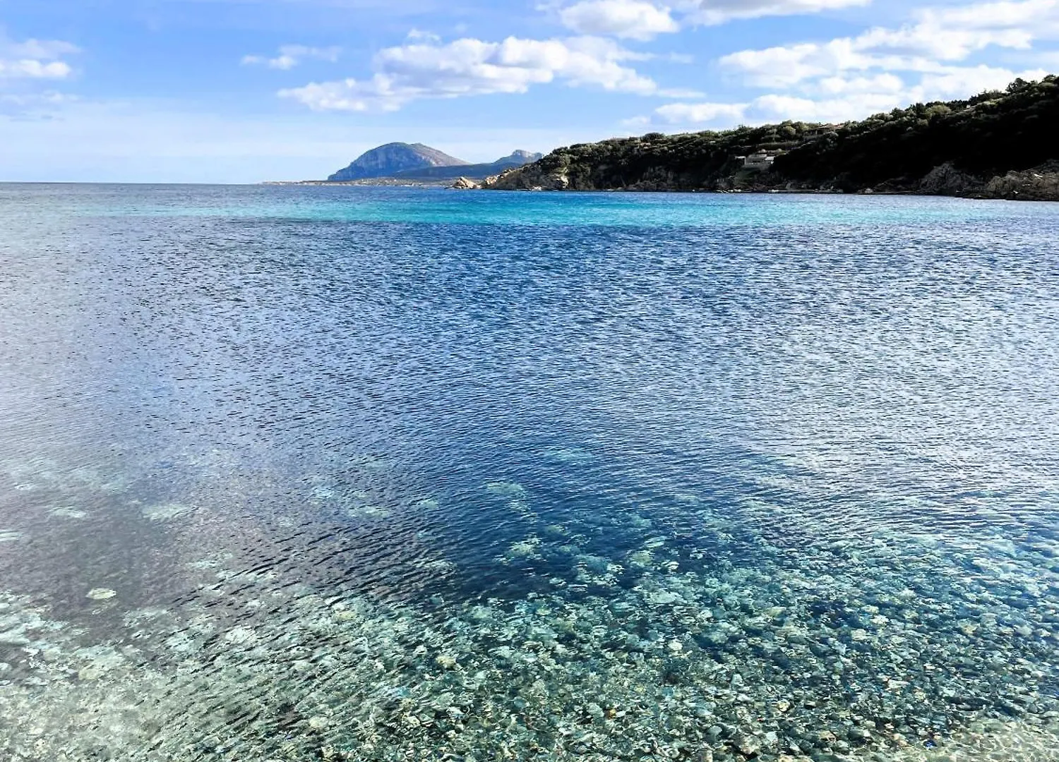 Porto Rotondo Centro - Splendido Appartamento Con Terrazza Apartment Porto Rotondo